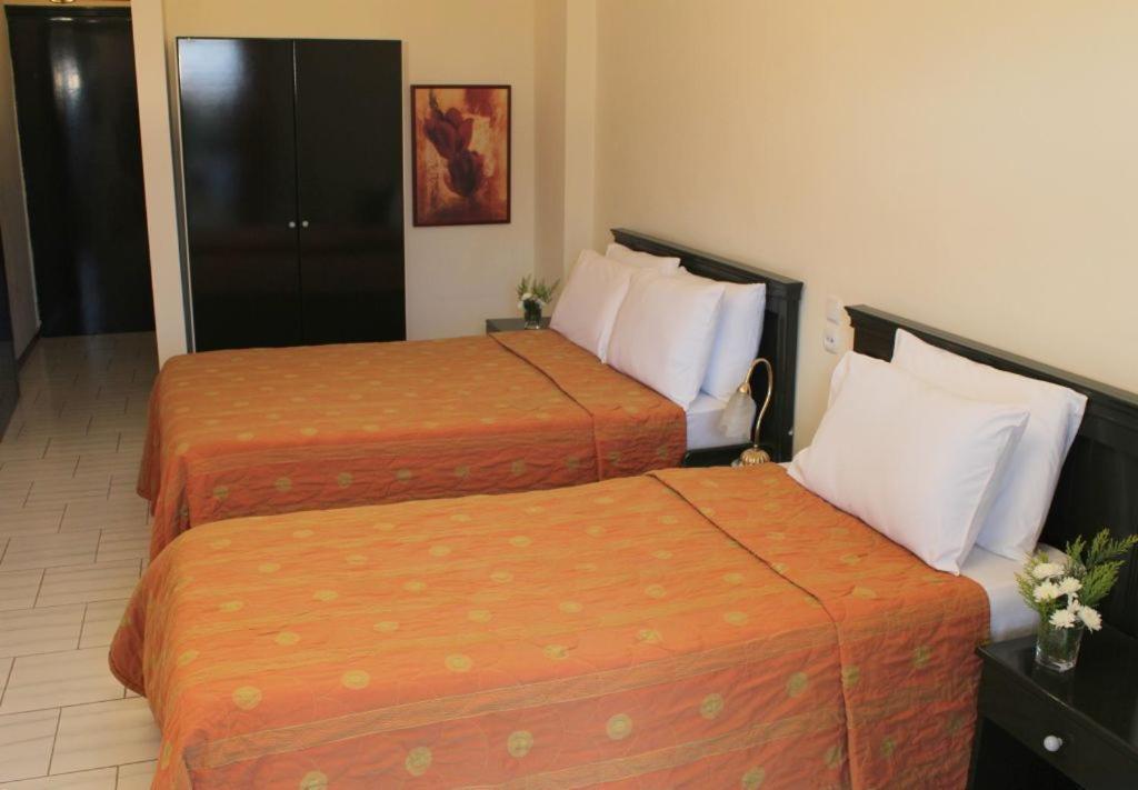 Famissi Eden Hotel Kalambaka Room photo